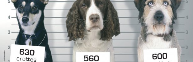 Déjections canines : ce n'est pas à eux de ramasser !