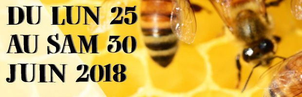 Une semaine de l'abeille à Blénod