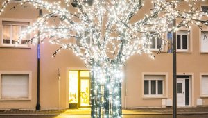 Remise des prix du palmarès pour l'embellissement de la ville et du concours communal des décorations de Noël