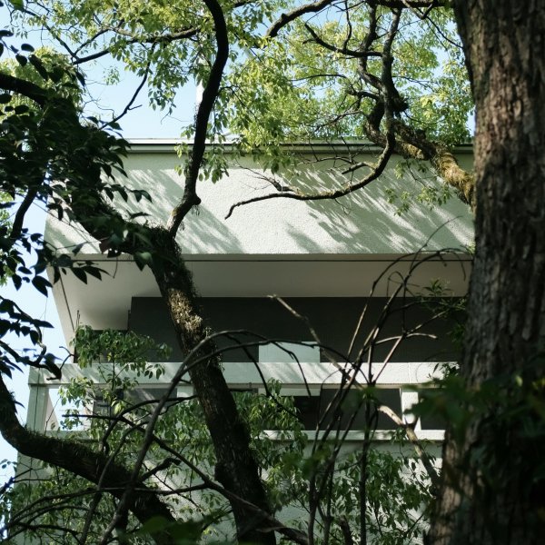 Un arbre devant une maison moderne, capturé par Mak