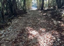 Une nouvelle desserte au Bois de cuite