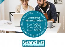 Fibre optique Losange : Blénod entièrement couverte