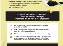 Influenza aviaire sur le secteur de Pont-à-Mousson
