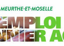L'agriculture recrute en Meurthe-et-Moselle : plusieurs centaines de postes saisonniers à pourvoir !