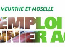 L'agriculture recrute en Meurthe-et-Moselle : plusieurs centaines de postes saisonniers à pourvoir !