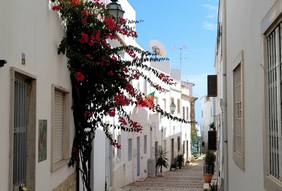 Les seniors ont adoré l’Algarve