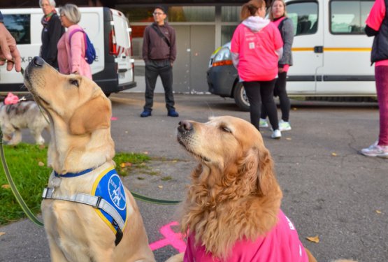 OCTOBRE ROSE : Blénod voit la vie en rose !