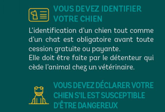 Bien vivre avec son chien !