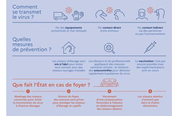 Influenza aviaire sur le secteur de Pont-à-Mousson