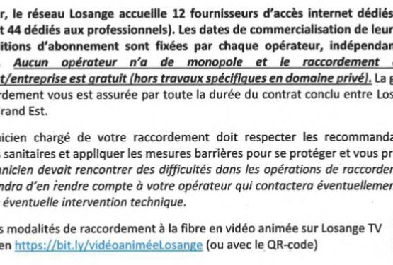 Fibre optique Losange : Blénod entièrement couverte