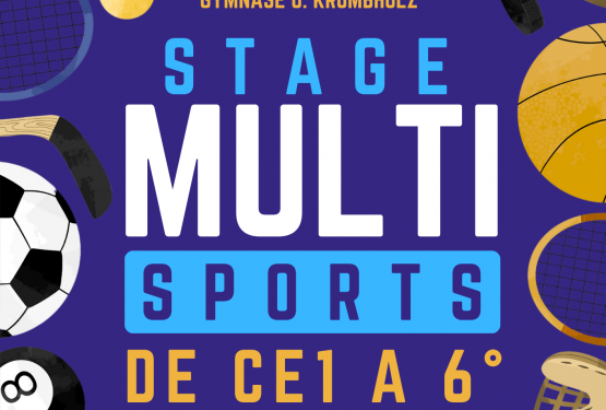 Stage multisports
