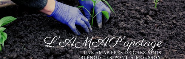 AMAP'apotage : des produits bio, de saison, locaux et en circuits courts
