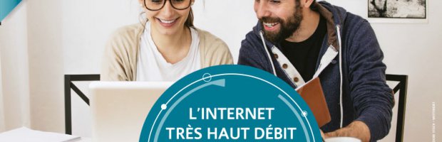 Fibre optique Losange : Blénod entièrement couverte