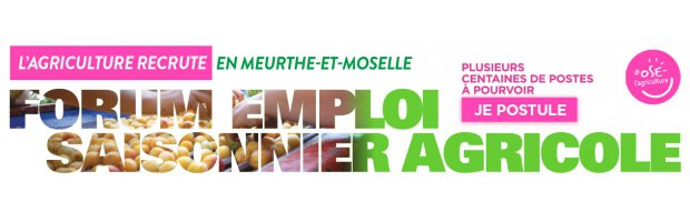 L'agriculture recrute en Meurthe-et-Moselle : plusieurs centaines de postes saisonniers à pourvoir !