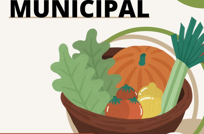 Marché municipal hebdomadaire aux Longues Rayes