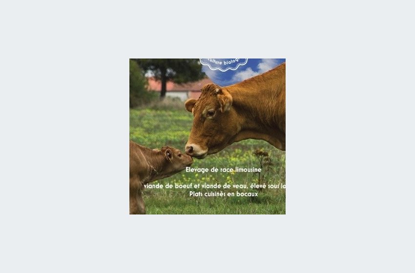 Vente en direct de produits fermiers bio