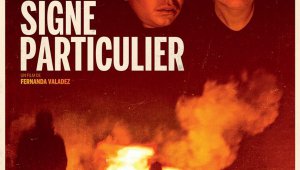 Sans signe particulier