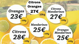Opération agrumes : vente solidaire