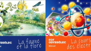 Animations ludiques et scientifiques