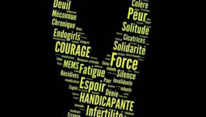 Afficher l'image d'origine