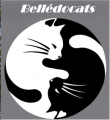 BELLEDOCATS